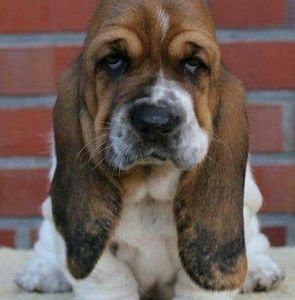 Meet your Posher, Byron